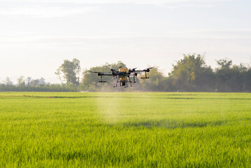 Fototapeta na wymiar Agriculture drone flying and spraying fertilizer and pesticide over farmland,High technology innovations and smart farming