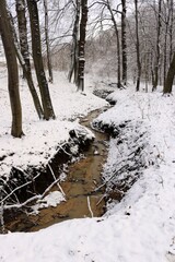 Zimowy strumień