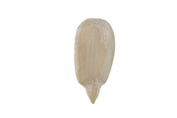Peeled sunflower seed on a white isolated background.