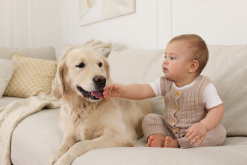 Cute little baby with adorable dog on sofa at home