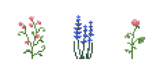 Set of Pixel art flowers. Vintage 90s gaming 8 bit icon of pink sweet pea and clover and blue lavender flowers. Vector pixel filed and wild flowers for game and print	 - obrazy, fototapety, plakaty