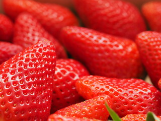 DELICIOUS STRAWBERRIES FROM HUELVA IN SPAIN NATURAL SEASONAL
