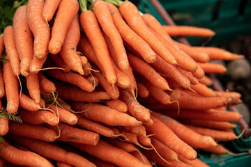 natural vegetables and fruits