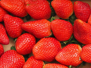 DELICIOUS STRAWBERRIES FROM HUELVA IN SPAIN NATURAL SEASONAL