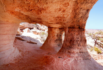 View from inside cave looking out into the Bears Ears wilderness area of Southern Utah.  