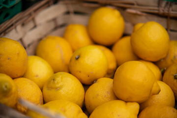 fruits from warm countries