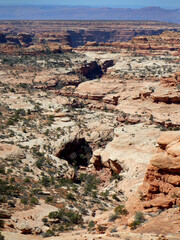 Slick rock, sandstone canyon vista, in the Bears Ears wilderness area of Southern Utah.  