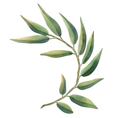 Fototapeta premium Green tropical palm leaf. Tropical plant. Hand painted watercolor illustration isolated on white. 