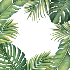 Fototapeta na wymiar Tropical frame with plants on a white background. Watercolor hand painted, palm leaves