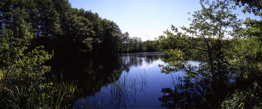 Teich bei Grambin