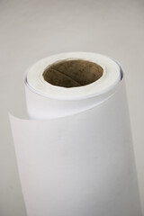 Roll paper intended for plotters in the printing industry.