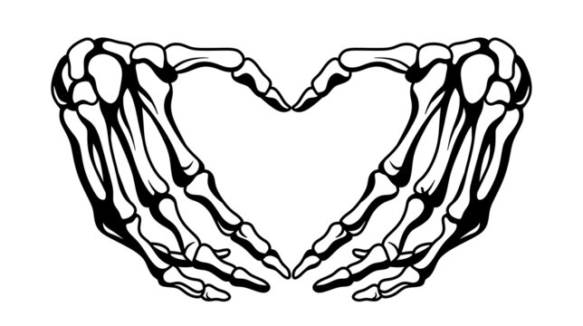 Hand. Human bones. Human skeleton. Illustration of a skeleton hand. Hands show a heart.