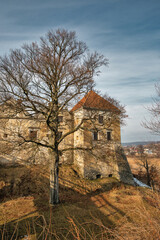 Fototapeta na wymiar Svirzh Castle in Lviv region, Ukraine.