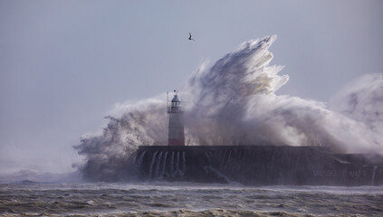 Fototapeta na wymiar Newhaven Storm Eunice Crashing Waves 