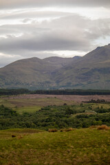 landscape with clouds