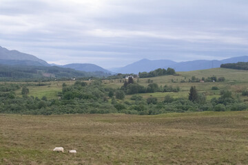 landscape with clouds
