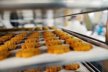 Close up of tasty cookies on tray in food factory.