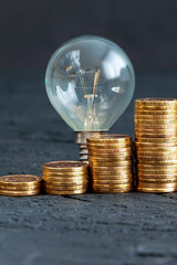 Energy saving. Old bulb.Money coins on a dark background. Energy saving. Stack of coins.Environmental protection