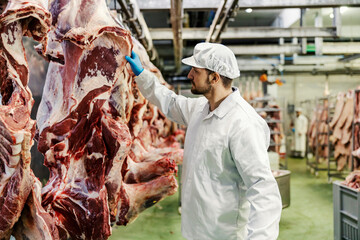 A quality controller checking on freshness of pork at meat factory.