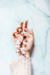 Female hand with pink almond flowers coming out of the sleeve on marble background. Spring concept.