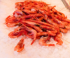 Prawns on Ice. Red shrimp, prawn in the ice on the market