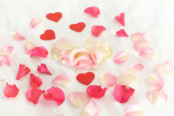 Rose petals on white bedding on the bed for Valentine's Day