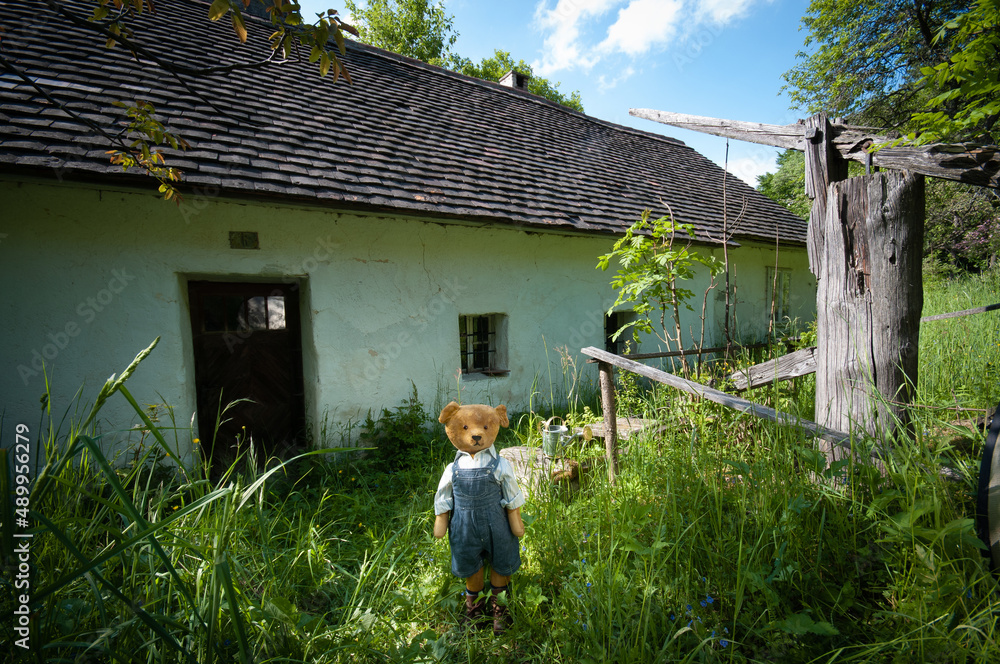 Wall mural alter teddybär im vorgarten seines hauses