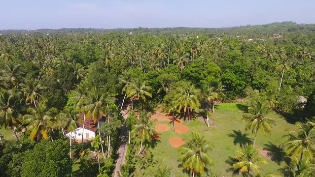 Beautiful views from a quadcopter in Asia. Sri Lanka and India aerial view. Footage for video