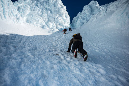 Pearly climbers main image 1