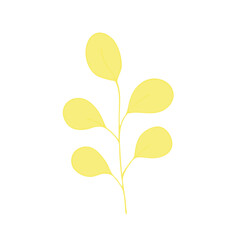 Leaves in the style of doodles. Vector design elements of a black line drawn by hand. Leaves of various plants, flowers and trees. Vector illustration.