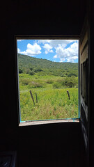 view from the window