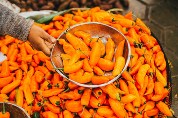 Aji amarillo o Ají Limeño amontonado en mercado de Perú