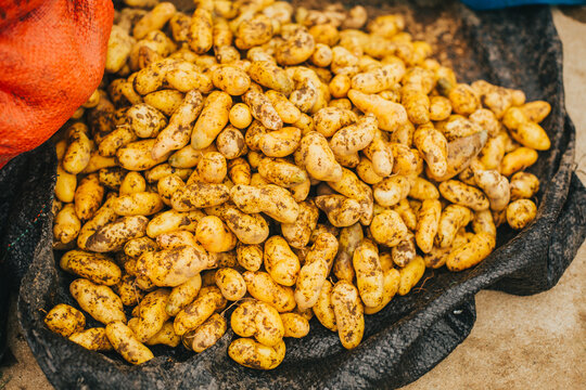 Olluco en costales en un mercado de Sudam&eacute;rica (Per&uacute;)