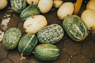 Fruto de Calabaza apilados en mercado local