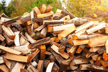 Stock of firewood for heating the house.