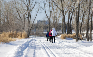 Cross country skiing in a park during winter