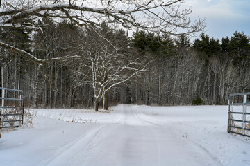 Snowy path in Willsboro Point NY after a snow storm