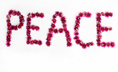 Peace concept made from real flowers. No war sign