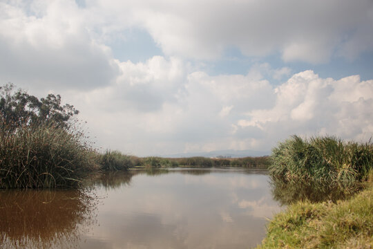 Humedal Soacha