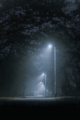 scary park way illuminated with street lamps in a foggy night