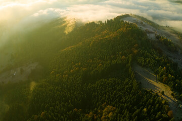 Fototapeta na wymiar Beautiful landscape with thick mist and forest in mountains. Drone photography