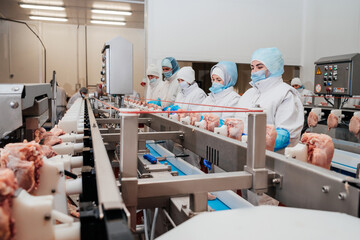 Meat processing equipment. Food products meat chicken fillet production line in plastic packaging on the conveyor.Automated production line with packaging and cutting of meat in modern food factory.