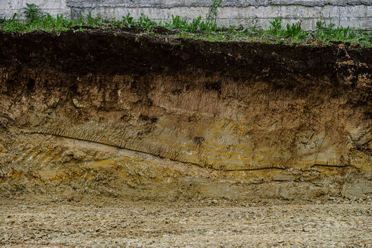 Cut of natural soil with different layaers. Grass, chernozem soil and clay ground wall after working excavator.