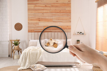 Woman with magnifying glass detecting bed bugs in bedroom, closeup - obrazy, fototapety, plakaty