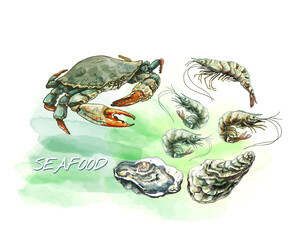 320_oyster_Shrimp_crab_crab, set of shrimps, oysters, shells, fresh, live seafood, on the background of watercolor stains of the sea