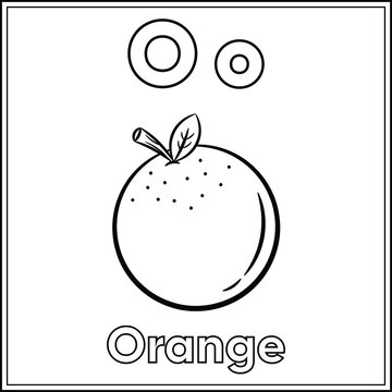 Orange Sketch Hand Drawn Fruit Illustration Stock Vector  Illustration of  natural juice 177976450