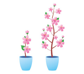 Beautiful small young spring sakura seedling and tree with blooming flowers in a pot, cherry branch blossom, isolated flat vector illustration. Gardening, growth stages set.
