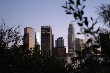 City Skyline behind trees