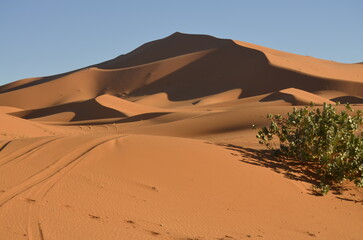Fototapeta na wymiar sand dunes in Sahara marocain