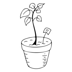 Garden potted plant doodle icon, decoration and decor, garden and vegetable garden icon